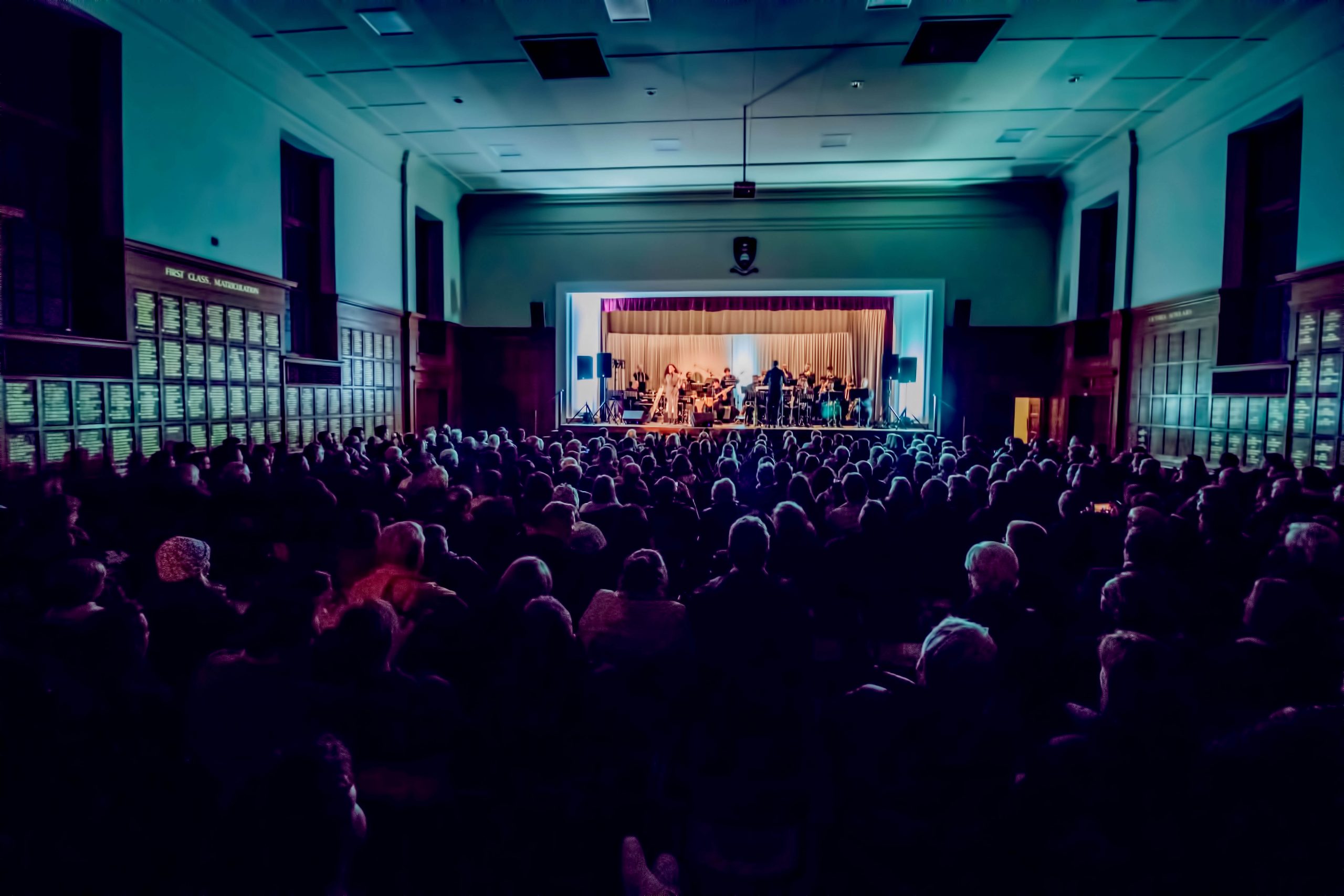 Live ShoutMC performance at a concert venue