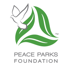 Shout Music Company (Shout MC) | Corporate Event Entertainment: Peace Parks Foundation Logo